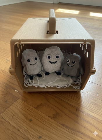 Three 3d printed pet-rock toys inside a small cardboard box on a wooden floor.