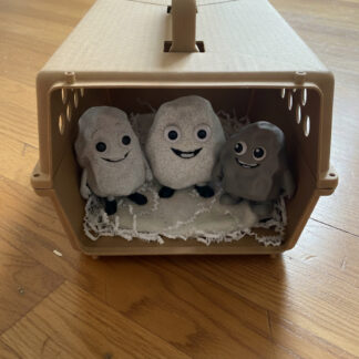 Pet Rock