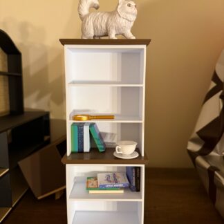 Modern Miniature Bookshelf