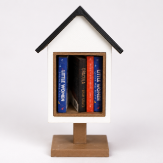 Mini Little Library